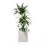 Talia Outdoor Planter styled with lush green tall plant inside
