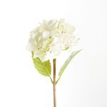 Product Image 2 for Hydrangea Stems , Set Of 6 from Napa Home And Garden