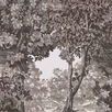 Product Image 1 for Bodenham Etching Charcoal Wallpaper from Graham & Brown