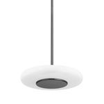 Product Image 1 for Blyford 1-Light Small Pendant - Black Nickel from Hudson Valley