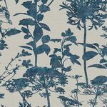 Esther Wallpaper featuring ink blue giant umbellifers and disk shaped umbels on cotton effect textured cream background