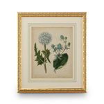 Product Image 1 for Cottage Florals Artwork III from Chelsea House