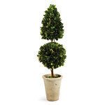 English Boxwood Cone & Ball Topiary 25" image 1