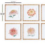 Product Image 3 for Colorful Chrysanthemum Prints, Set of 6 from Napa Home And Garden