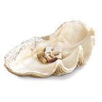 Product Image 1 for Imperial Clam from Regina Andrew Design