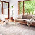 Wynter rug styled in bright living room with modern furniture and large windows showing scale and room context