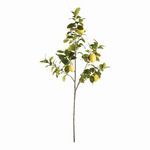 Product Image 1 for Faux Lemon Branches , Set Of 2 from Napa Home And Garden