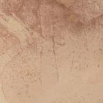 Product Image 11 for Unforeseen Beauty By Molly Supplee from Four Hands