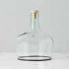 Product Image 2 for Demijohn Cloche from etúHOME