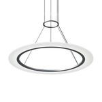 Product Image 1 for Arctic Rings™ Pendant from Sonneman