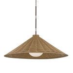 Product Image 1 for Devlin Pendant from Troy Lighting