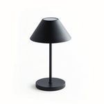Product Image 1 for Alluna Cordless Led Lamp from Napa Home And Garden
