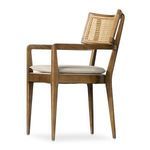 Product Image 19 for Britt Brushed Ebony Cane Dining Armchair from Four Hands