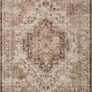 Product Image 1 for Sorrento Mocha / Multi Rug from Loloi