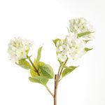 Product Image 2 for Hydrangea Branches , Set Of 2 from Napa Home And Garden