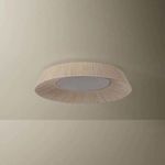 Product Image 2 for Kenton Flush Mount from Troy Lighting