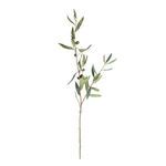 Product Image 1 for Olive Stems With Olives , Set Of 4 from Napa Home And Garden