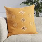 Pillow placed on light-colored couch with green plant in background, showing embroidered front