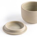 Two side-by-side ceramic salt jars with closely fitting lids on white background