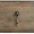 Product Image 4 for Ciao Bella Bachelors Chest from Hooker Furniture