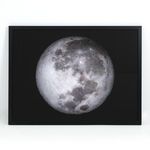 Product Image 1 for Full Moon from Four Hands