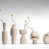 Row of five ceramic vases in various shapes and rustic cream finishes, some holding single green stems