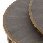 Product Image 9 for Shagreen Nesting Coffee Table from Four Hands