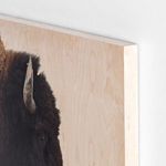 Product Image 9 for American Bison from Four Hands