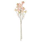 Product Image 3 for Double Cherry Blossom Branches , Set Of 2 from Napa Home And Garden