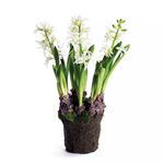 Product Image 1 for Hyacinth Drop In 16.5" from Napa Home And Garden