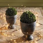 Product Image 5 for Boxwood Ball from Napa Home And Garden