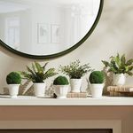 Product Image 7 for Mirabelle Mini Cachepots, Set Of 6 from Napa Home And Garden