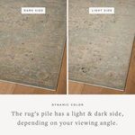 Comparison showing Briar Sky Grove rug’s light and dark sides highlighting dynamic color change with pile direction