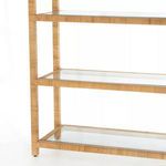Product Image 8 for Dory Bookshelf Honey Rattan from Four Hands