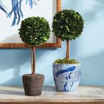 Product Image 4 for Boxwood Single Sphere Topiary Drop-In from Napa Home And Garden