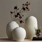 Product Image 4 for Magnolia Stems, Set of 4 from Napa Home And Garden
