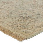 Close-up of rug corner showing thick wool pile texture and tan fringe detailing