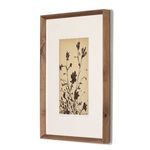 Product Image 2 for Meadow Rue Set by Shaina Page from Four Hands