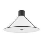 Product Image 1 for Forrest Iron 2-Light Flush Mount - Black & White from Troy Lighting