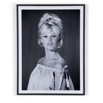 Product Image 5 for Pouting Brigitte Bardot By Getty Images from Four Hands