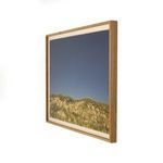 angled side view showing thickness and texture of white oak frame around dune photo