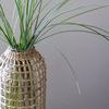 Product Image 9 for Ezra Rattan Wrapped Carafe from Accent Decor