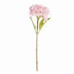 Product Image 1 for Hydrangea Stems , Set Of 6 from Napa Home And Garden