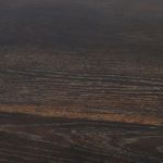 Close-up of oak wood grain highlighting darker and lighter natural color variations