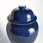 Product Image 3 for Koa Wide Lidded Ginger Jar from Napa Home And Garden