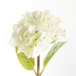 Product Image 3 for Hydrangea Stems , Set Of 6 from Napa Home And Garden