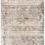 Full top view of Homage Graphite Beige Rug showing overall distressed pattern and color variation