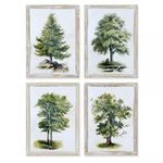Product Image 1 for Tree Study, Set Of 4 from Napa Home And Garden