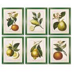 Product Image 1 for Citrus Prints, Set Of 6 from Napa Home And Garden