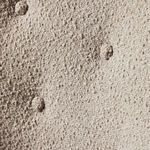 Product Image 28 for Marnie Chair from Four Hands